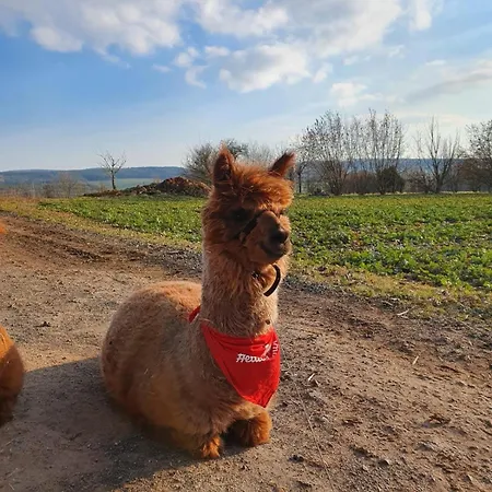 Guest Rosi Free Wifi Gospodarstwo agroturystyczne