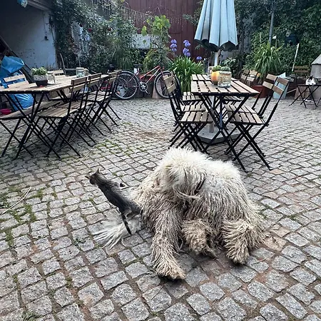 Bauernhofherberge Hortus Sandrine Free Wifi Gemeinschaftsbad *