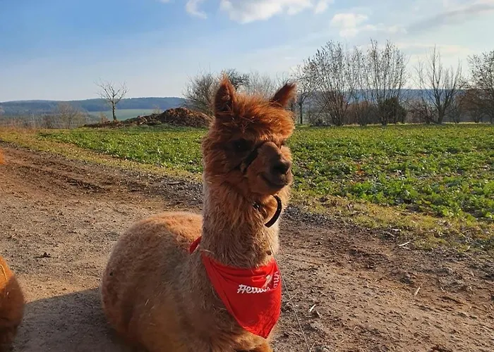 Monteurzimmer Privatzimmer Free Wifi 2Personen Çiftlik konaklama