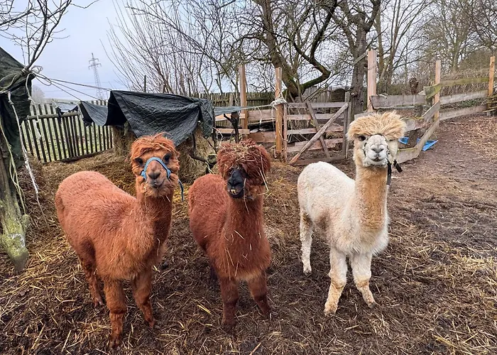 Monteurzimmer Privatzimmer Free Wifi 2P Gemeinschaftsbad 팜스테이